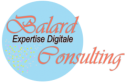 Expertises Digitales